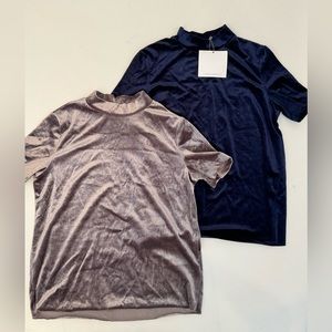 NWT Zara Basics Velvet Short Sleeve Tops - S